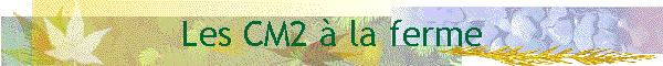 Les CM2  la ferme