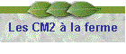 Les CM2  la ferme
