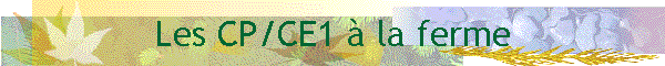 Les CP/CE1  la ferme