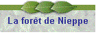 La fort de Nieppe