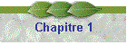 Chapitre 1