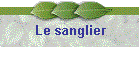 Le sanglier