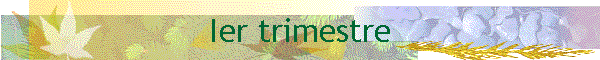 Ier trimestre