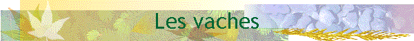 Les vaches