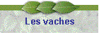 Les vaches